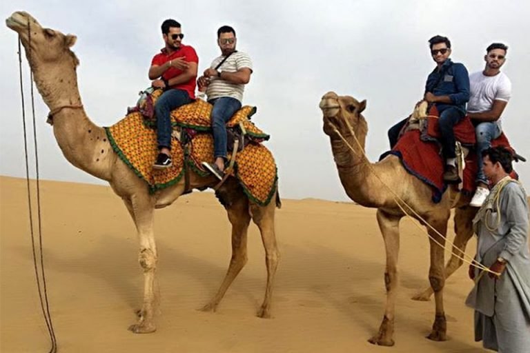 camel-safari-jaisal